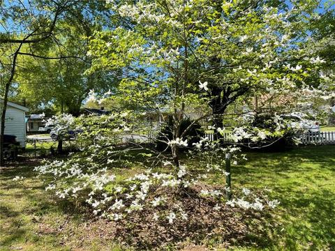 207 S 5th Ave, Mayodan, NC 27027 photo 26