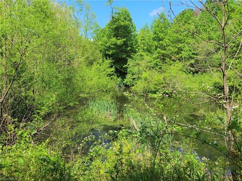 2936 Perch Rd, Pinnacle, NC 27043 photo 22
