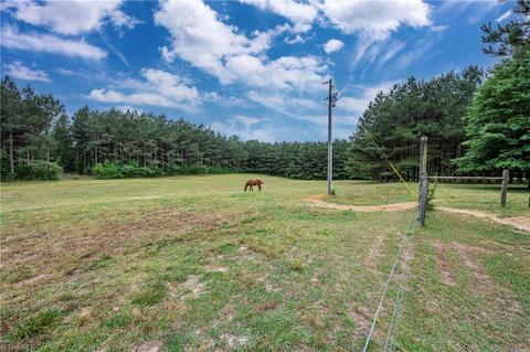 6253 Willard Rd, Staley, NC 27355 photo 43