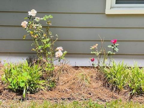 3244 Timberwolf Ave, High Point, NC 27265 photo 34
