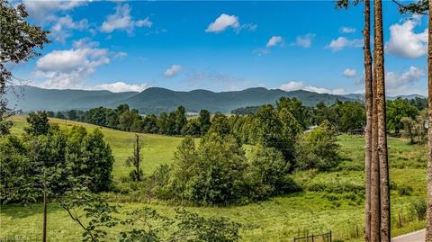 1139 Purlear Rd, Purlear, NC 28665 photo 2