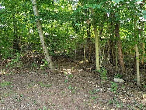 1050 Bowen Rd, Pinnacle, NC 27043 photo 18