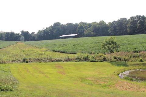 1030 Brindle Rd, Dobson, NC 27017 photo 9