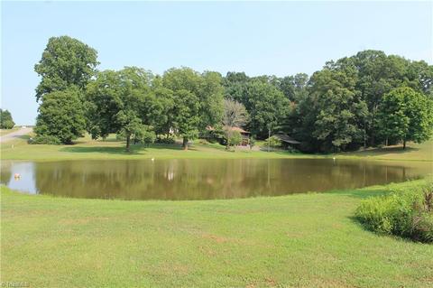 1030 Brindle Rd, Dobson, NC 27017 photo 6