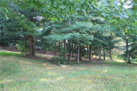 1030 Brindle Rd, Dobson, NC 27017 photo 12