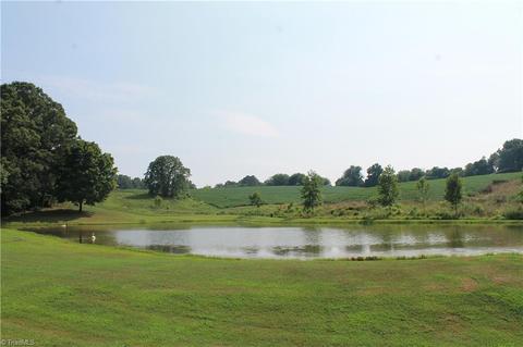 1030 Brindle Rd, Dobson, NC 27017 photo 4