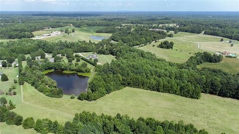 3242 Wayne White Rd, Climax, NC 27233 photo 16