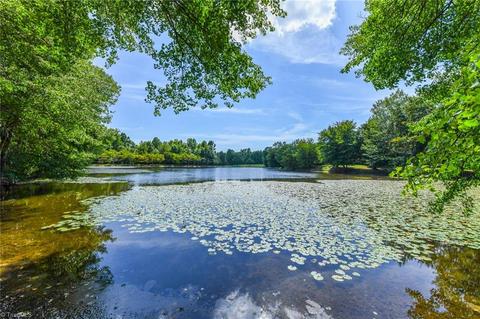 3242 Wayne White Rd, Climax, NC 27233 photo 1