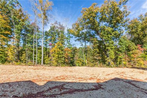 159 Lantern Dr, Advance, NC 27006 photo 47