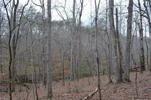 909 Bald Hill Loop, Madison, NC 27025 photo 8