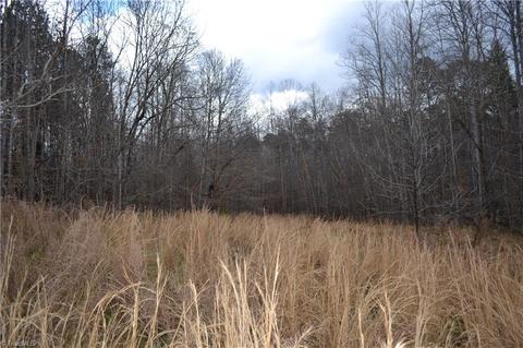 909 Bald Hill Loop, Madison, NC 27025 photo 9