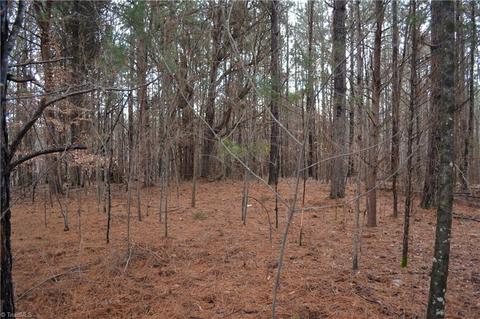 909 Bald Hill Loop, Madison, NC 27025 photo 13