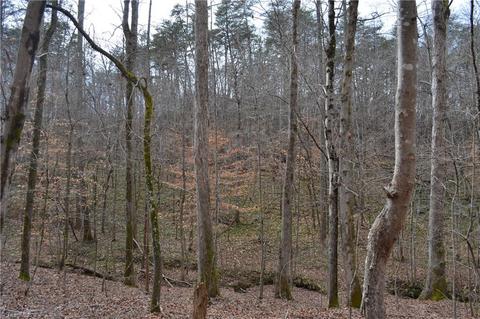 909 Bald Hill Loop, Madison, NC 27025 photo 11
