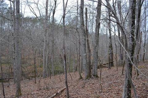 909 Bald Hill Loop, Madison, NC 27025 photo 2