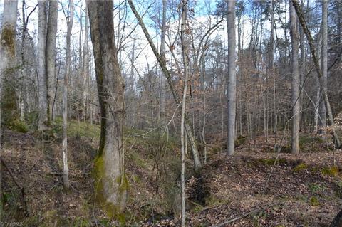 909 Bald Hill Loop, Madison, NC 27025 photo 5