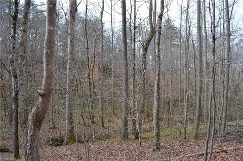 909 Bald Hill Loop, Madison, NC 27025 photo 10