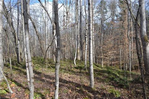 909 Bald Hill Loop, Madison, NC 27025 photo 3