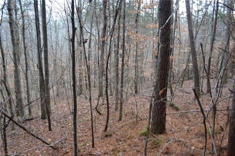 909 Bald Hill Loop, Madison, NC 27025 photo 14