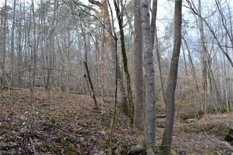 909 Bald Hill Loop, Madison, NC 27025 photo 7