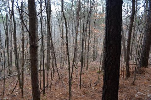 909 Bald Hill Loop, Madison, NC 27025 photo 12