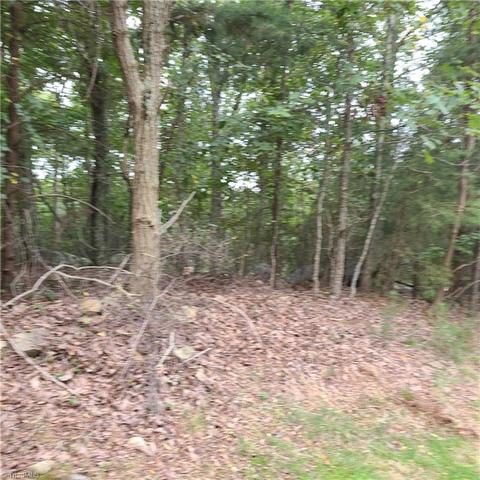 156 Sierra Trace Rd, Denton, NC 27239 photo 3