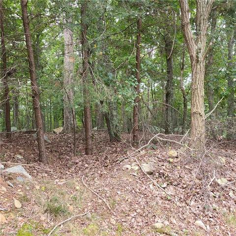 156 Sierra Trace Rd, Denton, NC 27239 photo 2
