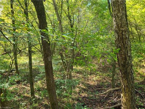 653 Chandler Rd, Dobson, NC 27041 photo 2