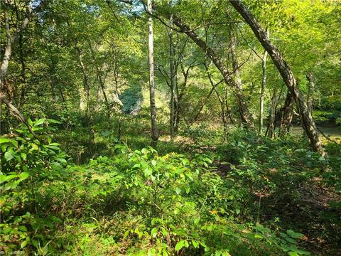 653 Chandler Rd, Dobson, NC 27041 photo 5