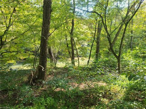 653 Chandler Rd, Dobson, NC 27041 photo 6
