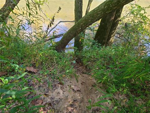 653 Chandler Rd, Dobson, NC 27041 photo 3