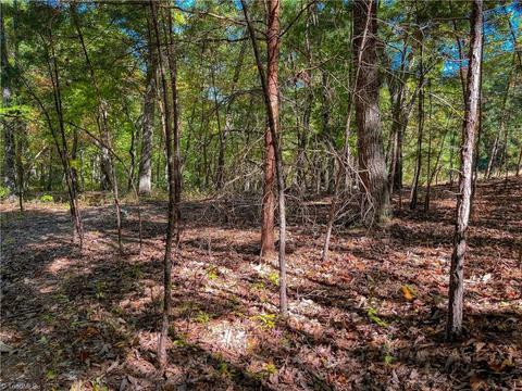 257 Sirocco Dr, Denton, NC 27239 photo 16