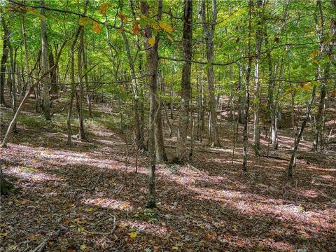 257 Sirocco Dr, Denton, NC 27239 photo 13