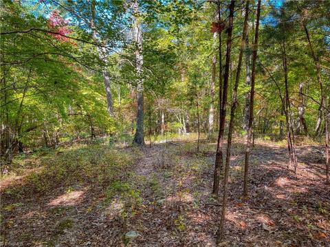 257 Sirocco Dr, Denton, NC 27239 photo 15