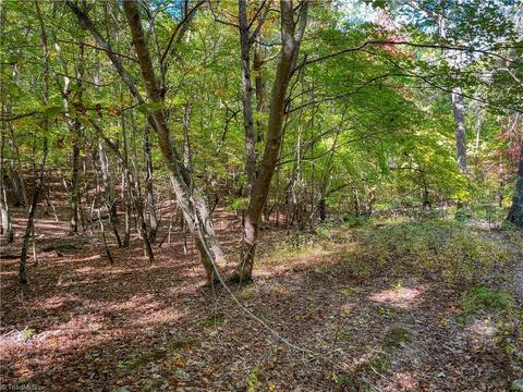257 Sirocco Dr, Denton, NC 27239 photo 14