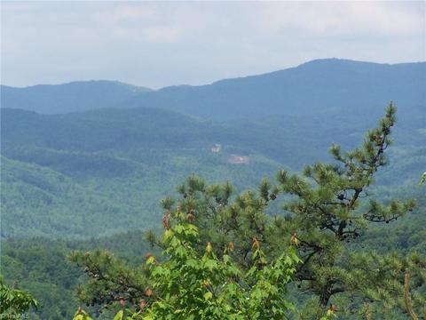 1303 Bobcat Mountain Rd, Purlear, NC 28665 photo 1