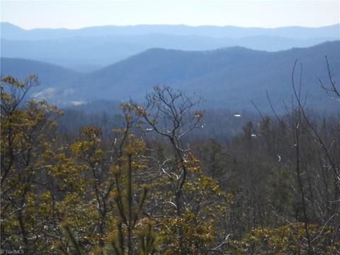 1303 Bobcat Mountain Rd, Purlear, NC 28665 photo 3