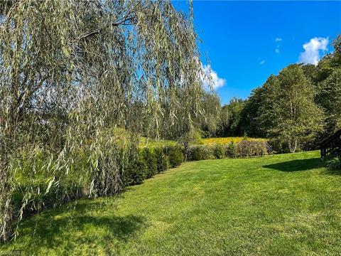 415 Marshall Johnson Rd, Pilot Mountain, NC 27041 photo 47