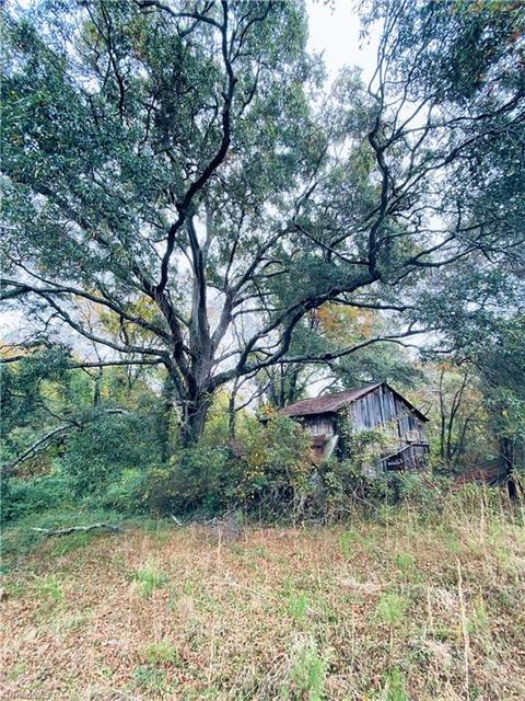 151 Cardinal Rd, Madison, NC 27025 photo 26