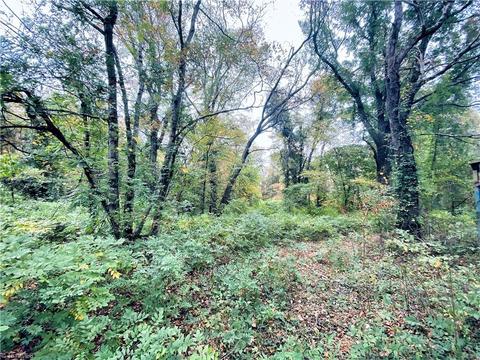 151 Cardinal Rd, Madison, NC 27025 photo 29