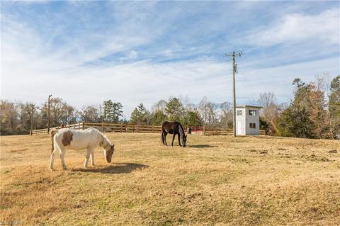 5006 Fairview Church Rd, Trinity, NC 27370 photo 50