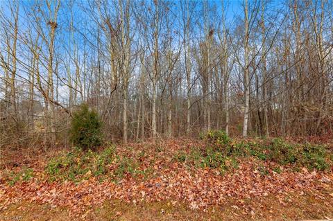 3525 Doral Ct, Tobaccoville, NC 27050