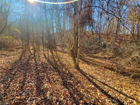 409 Colbert Rd, Traphill, NC 28685 photo 24