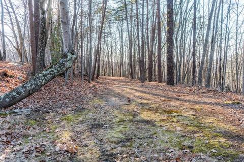 1065 Devil Den Rd, Danbury, NC 27016 photo 44