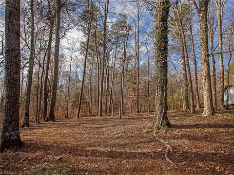 722 Lakedale Rd, Colfax, NC 27235 photo 22