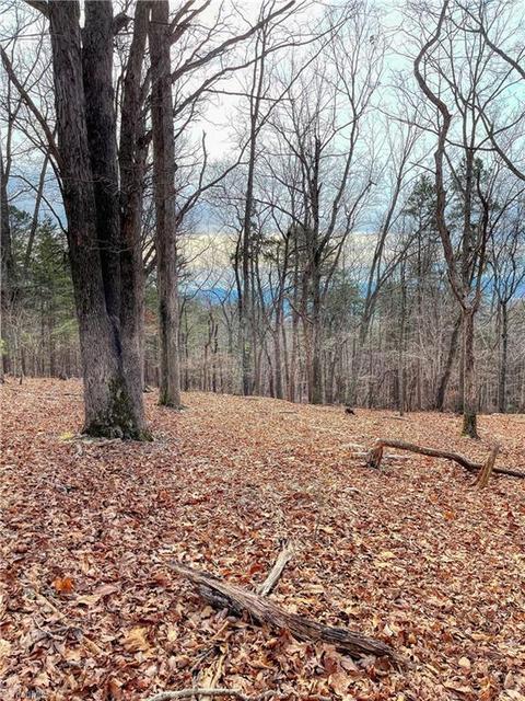 310 Sierra Trace Rd, Denton, NC 27239 photo 13