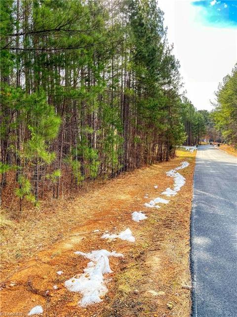 310 Sierra Trace Rd, Denton, NC 27239 photo 14