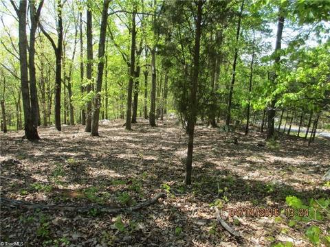 310 Sierra Trace Rd, Denton, NC 27239 photo 6