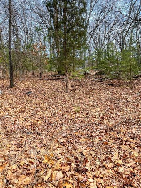 310 Sierra Trace Rd, Denton, NC 27239 photo 11