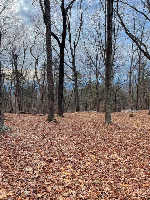 310 Sierra Trace Rd, Denton, NC 27239 photo 9
