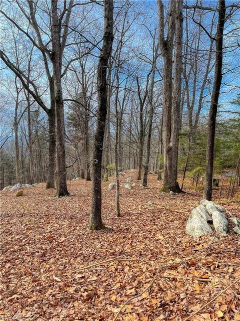 310 Sierra Trace Rd, Denton, NC 27239 photo 8